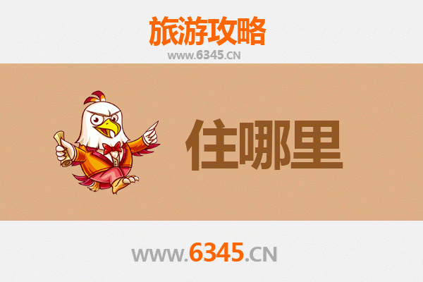 金华金东深度游：精选民宿攻略与沉浸式旅行指南